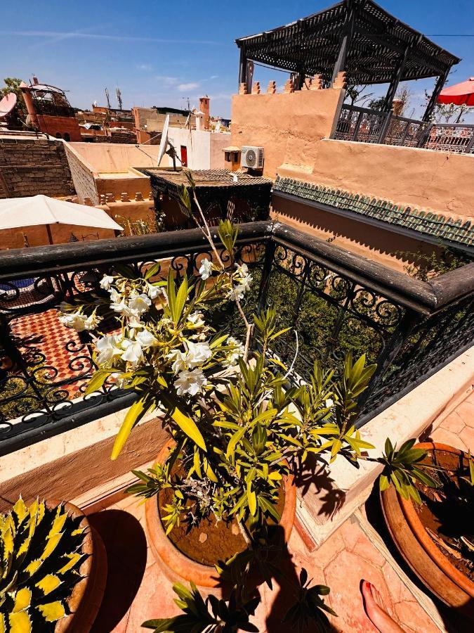Riad Msholidays Bassin Privatise Marrakech Marrakesh Exterior photo
